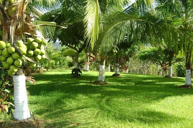 Villa Guarias Puntarenas Exteriér fotografie